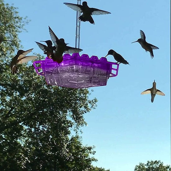 Mangeoire à Nectar Suspendue à 30 Ports en Relief | Nivéa NJ-1