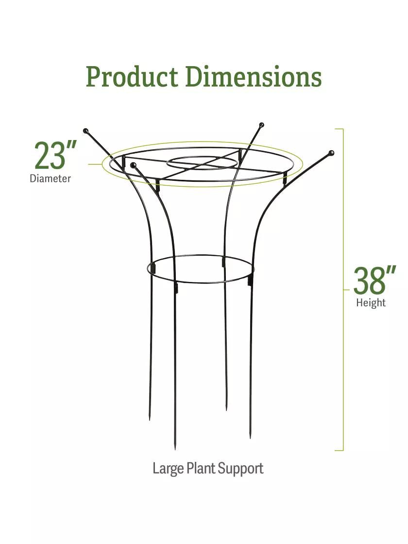 Supports pour plantes