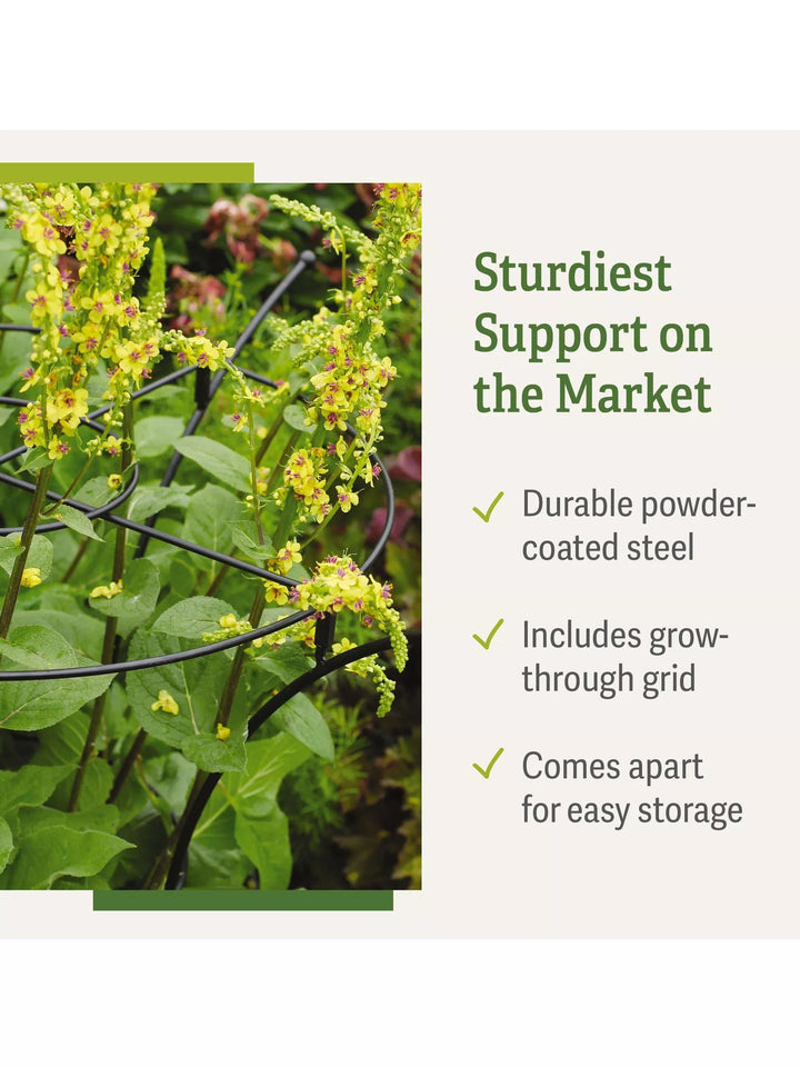 Supports pour plantes