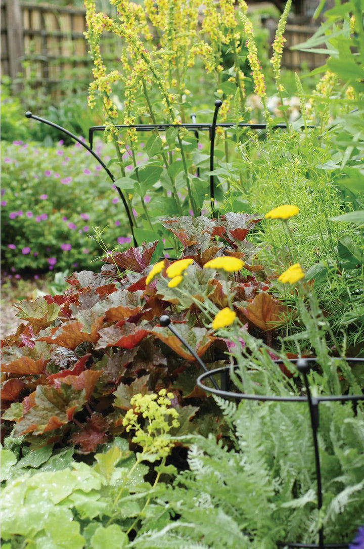 Supports pour plantes