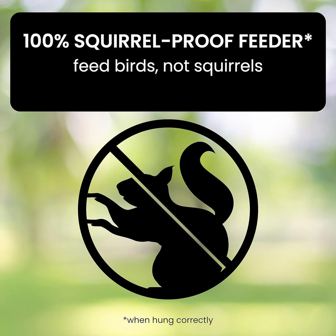 Mangeoire à Oiseaux Anti-Écureuil