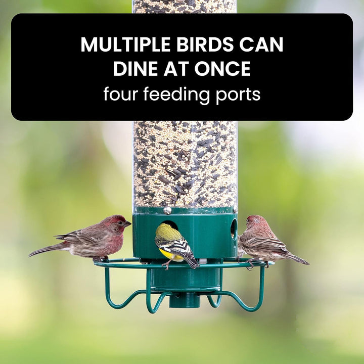 Mangeoire à Oiseaux Anti-Écureuil