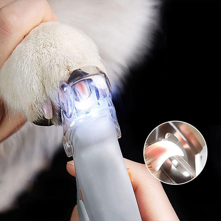 Le Meilleur Coupe-ongles Pour Chiens Avec Capteurs De La Veine