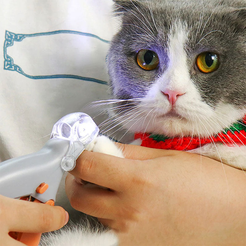 Le Meilleur Coupe-ongles Pour Chiens Avec Capteurs De La Veine