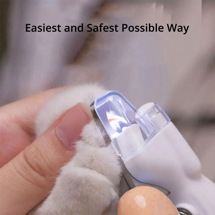 Le Meilleur Coupe-ongles Pour Chiens Avec Capteurs De La Veine
