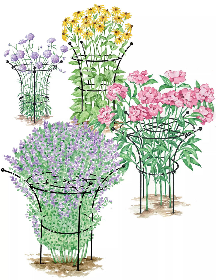 Supports pour plantes