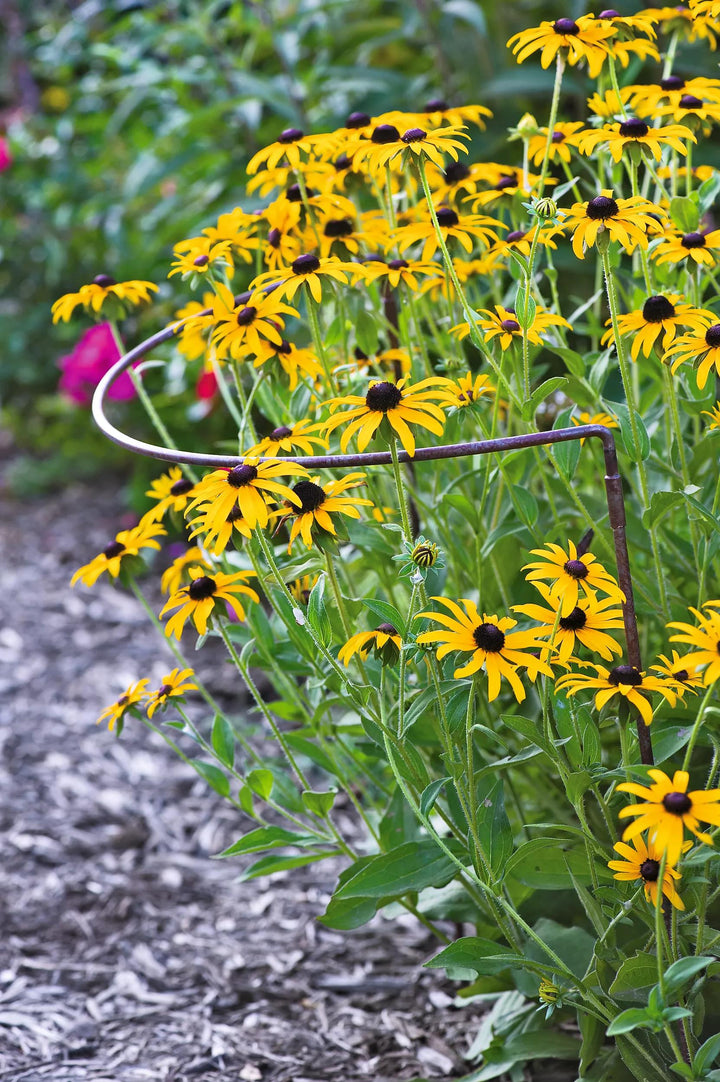 Supports Pour Plantes Demi-Ronds Jardin | Lot de 2