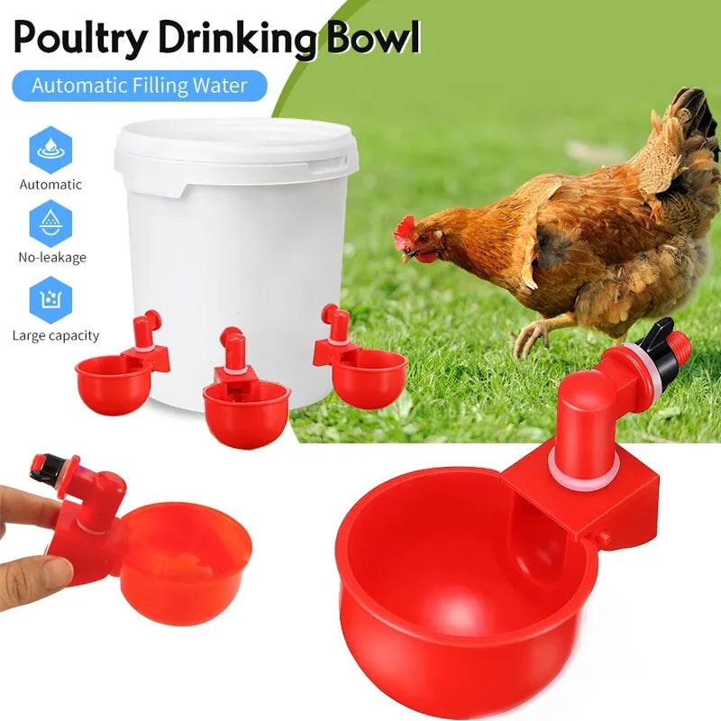 Mangeoire automatique pour poussins, canards, oies, dindes et cailles