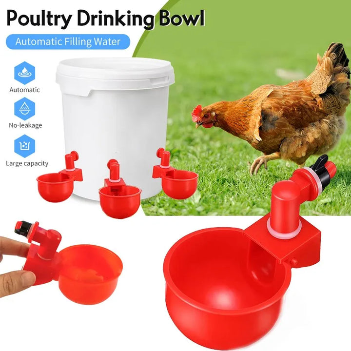 Mangeoire automatique pour poussins, canards, oies, dindes et cailles