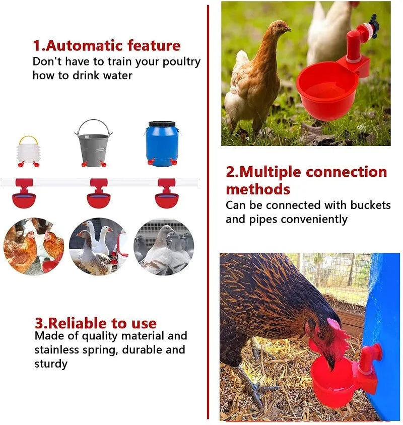 Mangeoire automatique pour poussins, canards, oies, dindes et cailles