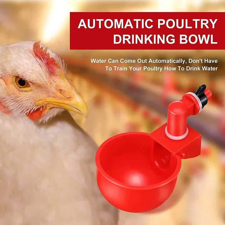 Mangeoire automatique pour poussins, canards, oies, dindes et cailles