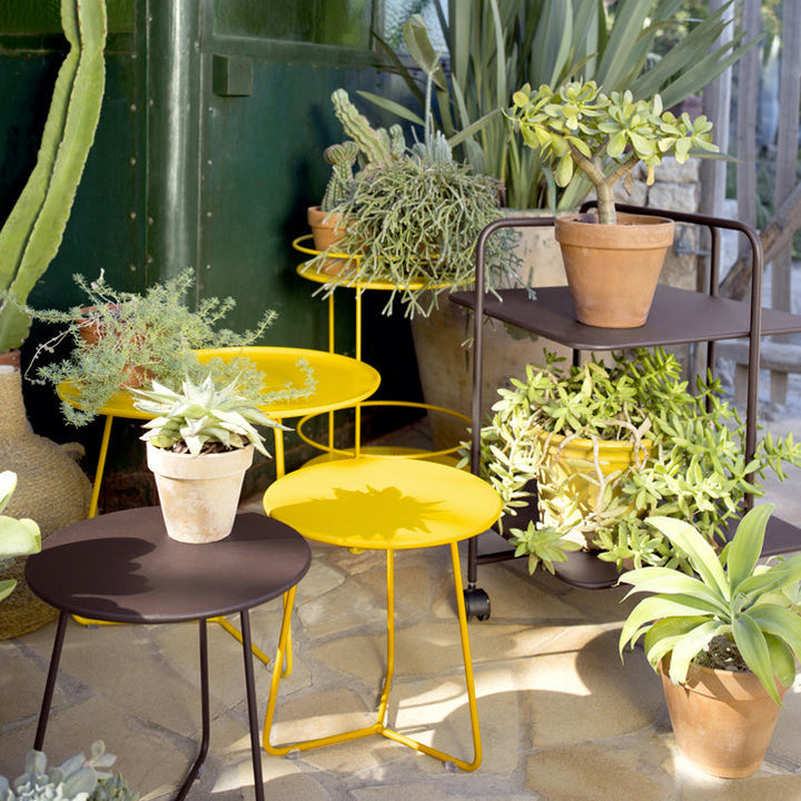 Cocotte Table d'Astro
