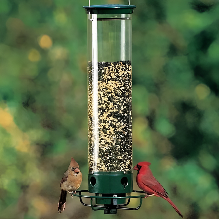 Mangeoire à Oiseaux Anti-Écureuil